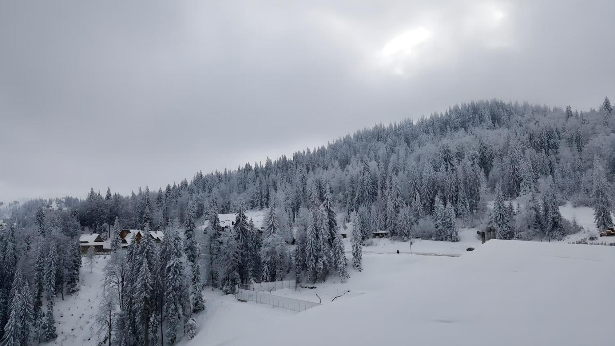 Apartments B229 & B230 In Aparthotel Vucko, Jahorina -Private Host Екстериор снимка